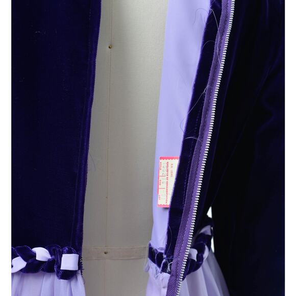 Vintage 60s Purple Formal Sheer Chiffon and Velvet Mod Retro Maxi Dress M L - Picture 5 of 9